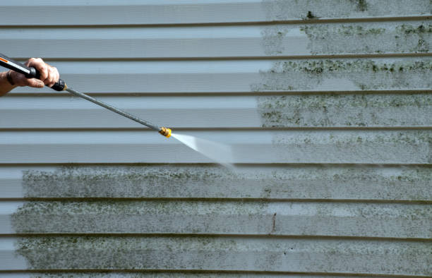 Best Commercial Mold Removal  in Zion, IL