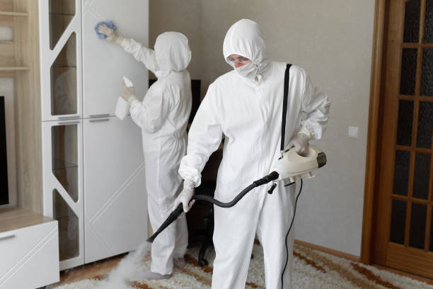 Best Certified Mold Removal  in Zion, IL