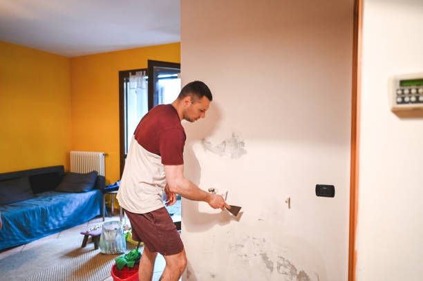 Best Mold Remediation  in Zion, IL